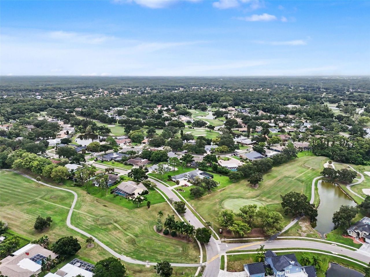 475 Holly Hill Road, Oldsmar, FL 34677 Photo