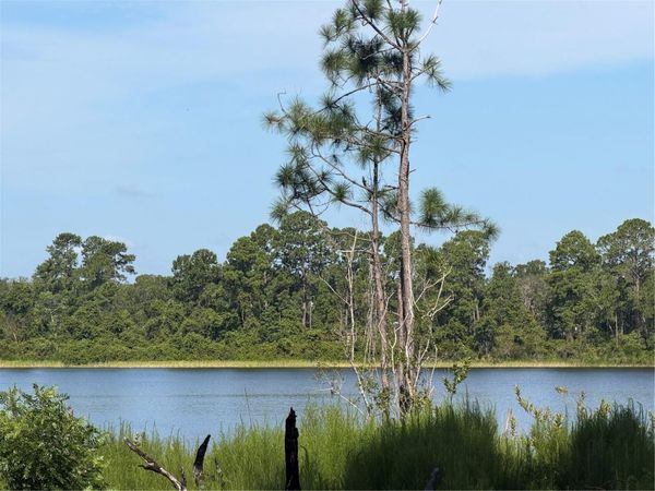 TBD MALAUKA RADIAL , OCKLAWAHA, FL 32179