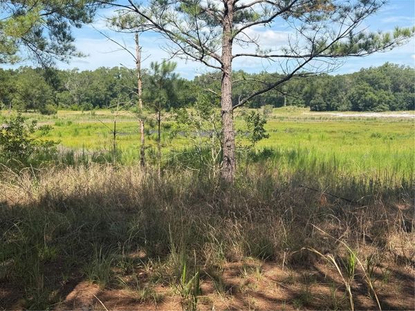 TBD GUAVA TERRACE , OCKLAWAHA, FL 32179