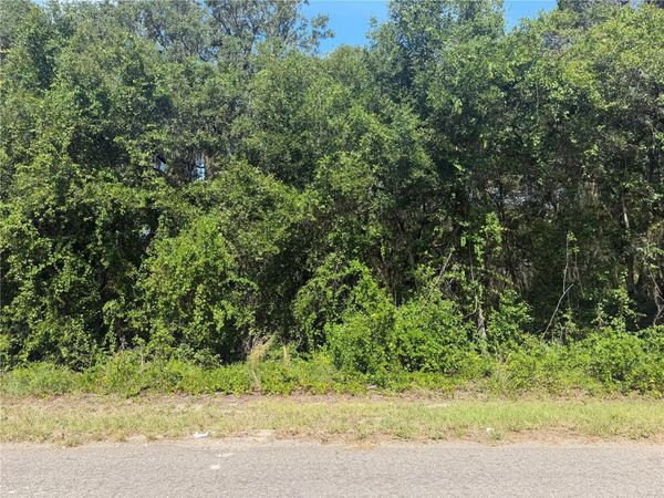 TBD GUAVA TERRACE , OCKLAWAHA, FL 32179