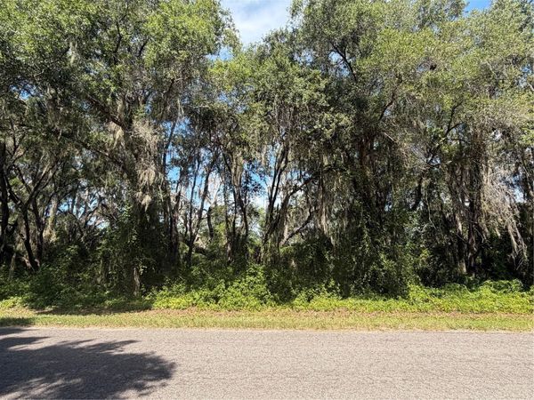 TBD GUAVA TERRACE , OCKLAWAHA, FL 32179