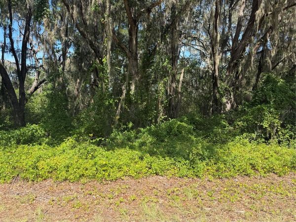 TBD GUAVA TERRACE , OCKLAWAHA, FL 32179