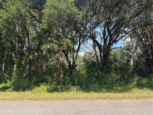 TBD GUAVA TERRACE , OCKLAWAHA, FL 32179