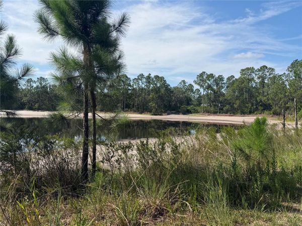 TBD MALAUKA PASS TRAIL , OCKLAWAHA, FL 32179