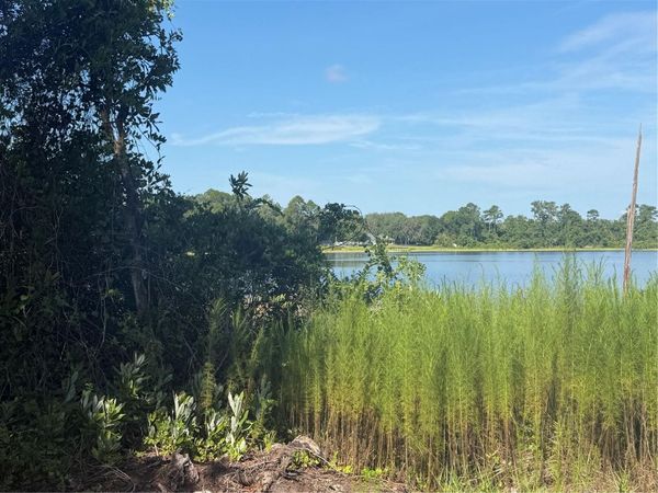 TBD MALAUKA RADIAL , OCKLAWAHA, FL 32179