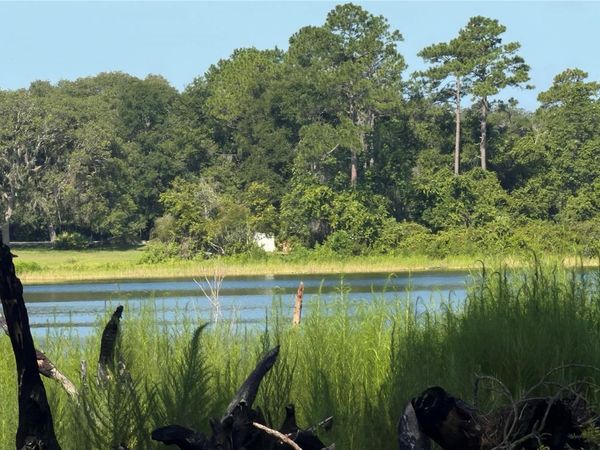 TBD MALAUKA RADIAL , OCKLAWAHA, FL 32179
