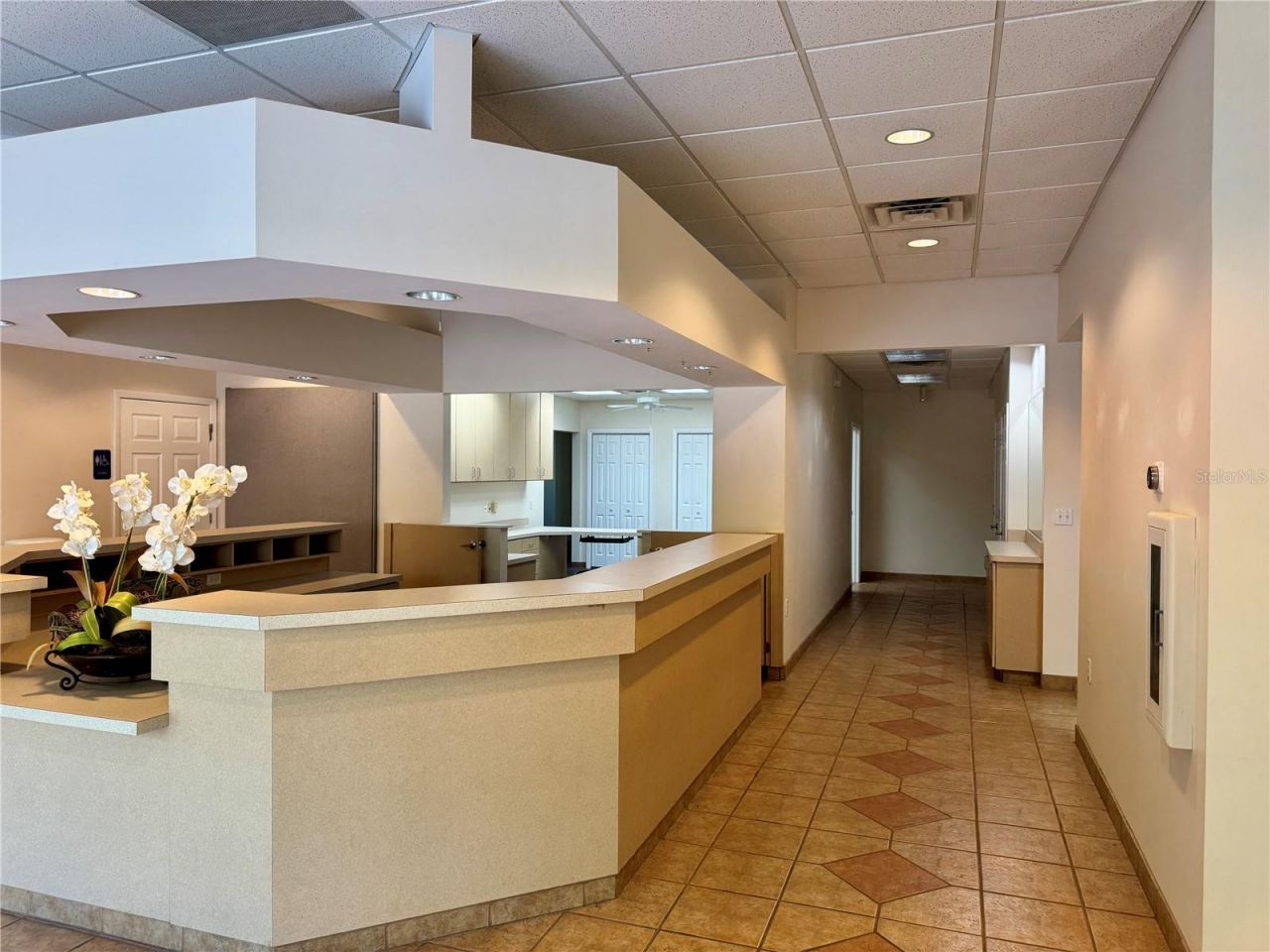 4031 NW 43rd Street, Gainesville, FL 32606 Photo