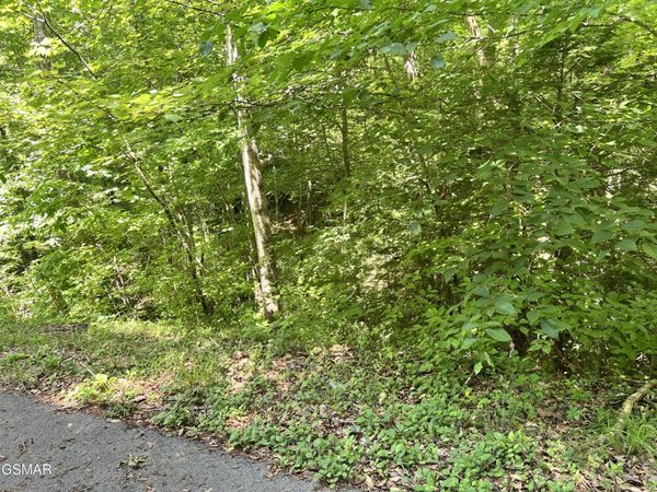 110 Fir Drive , Sevierville, TN 37876