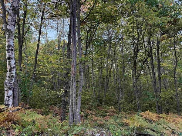 000 Hwy 2 , Bayfield, WI 54847