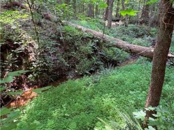 0 Old Buckingham Road , Powhatan, VA 23139