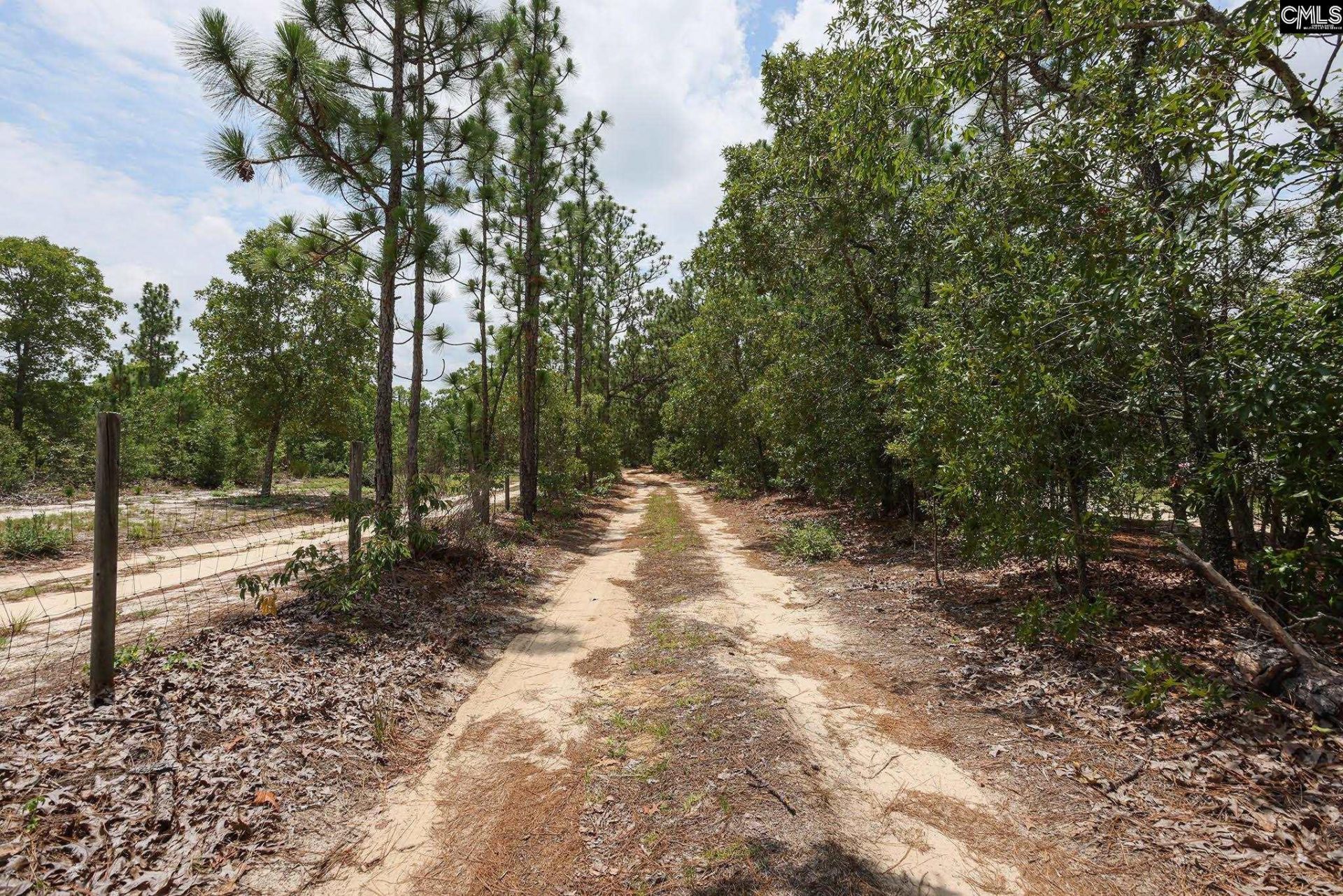 755 Bush Berry Road  Photo 5