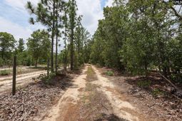 755 Bush Berry Road  photo 4