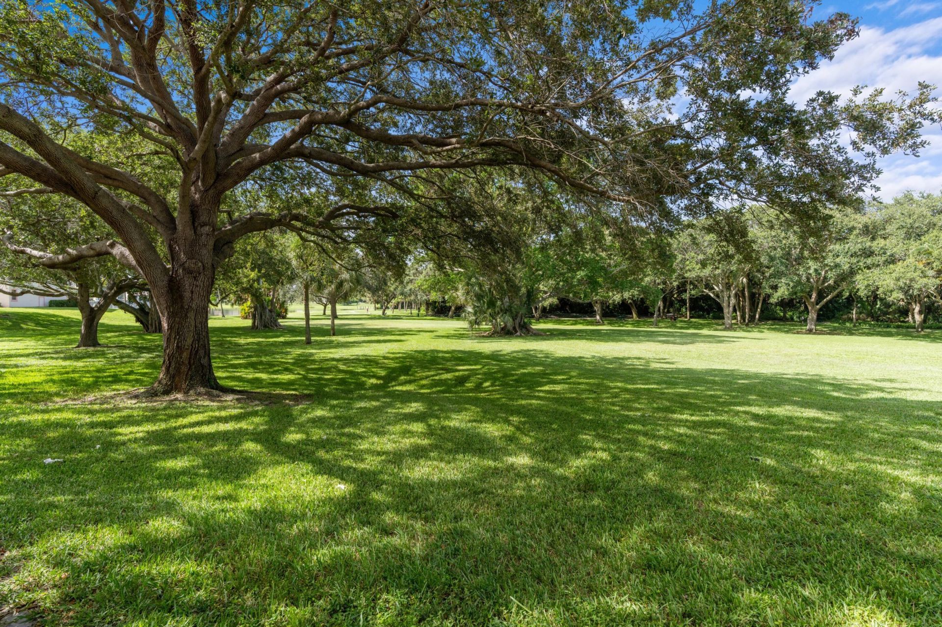 3300 Jaywood Terrace, Unit J116, Boca Raton, FL 33431 Photo