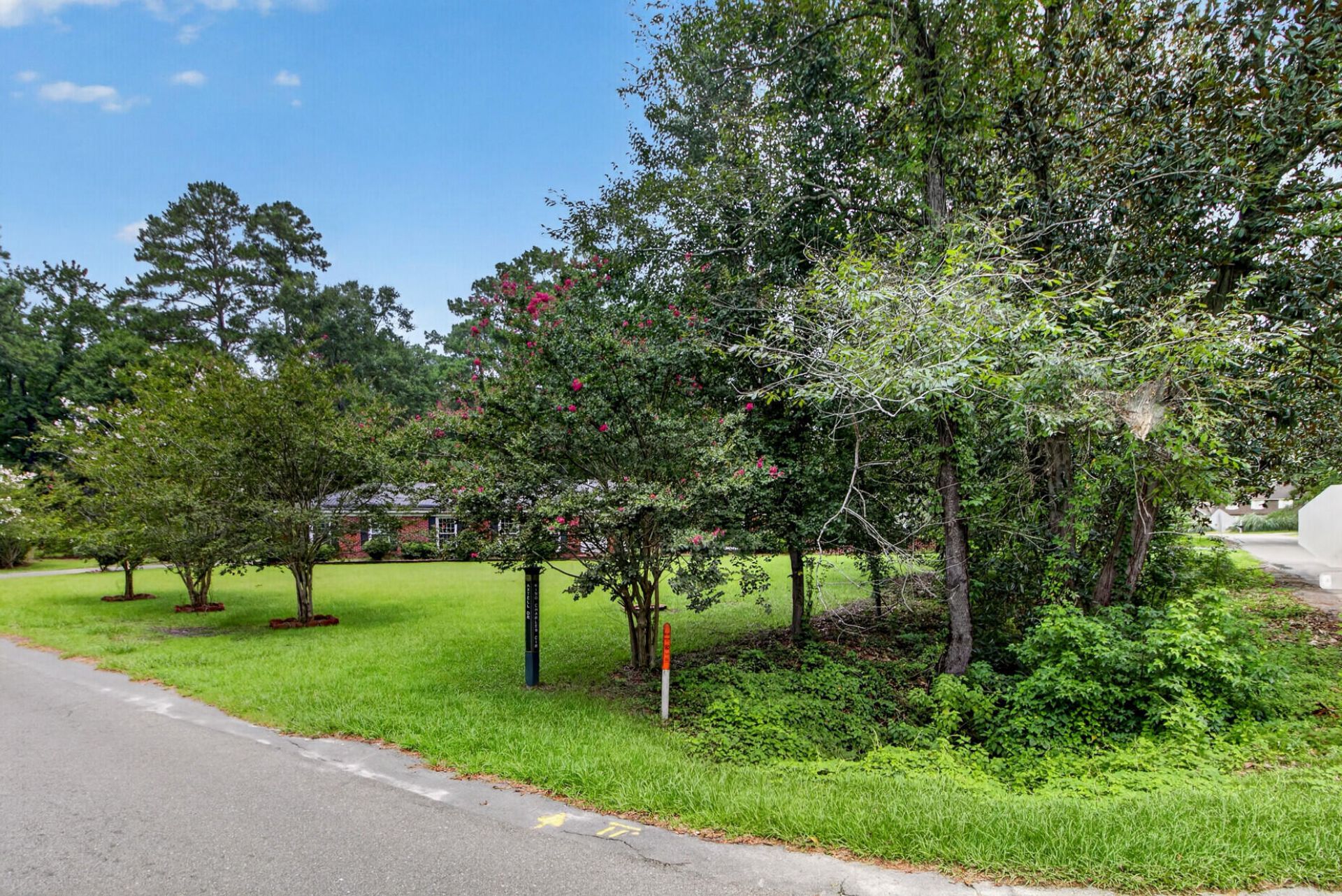 124 Axtell Drive Photo 6