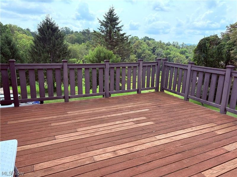 47690 Watson Road, Saint Clairsville, OH 43950 Photo 37