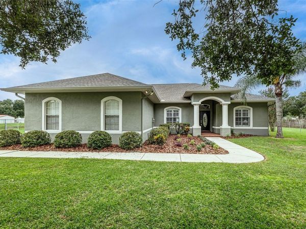 3631 ALAFIA CREEK STREET , PLANT CITY, FL 33567