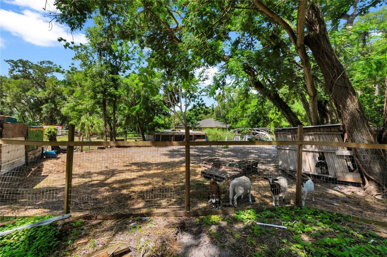 9922 Rockhill Road, Thonotosassa, FL 33592 Photo