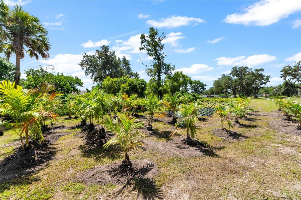 9922 Rockhill Road, Thonotosassa, FL 33592 Photo