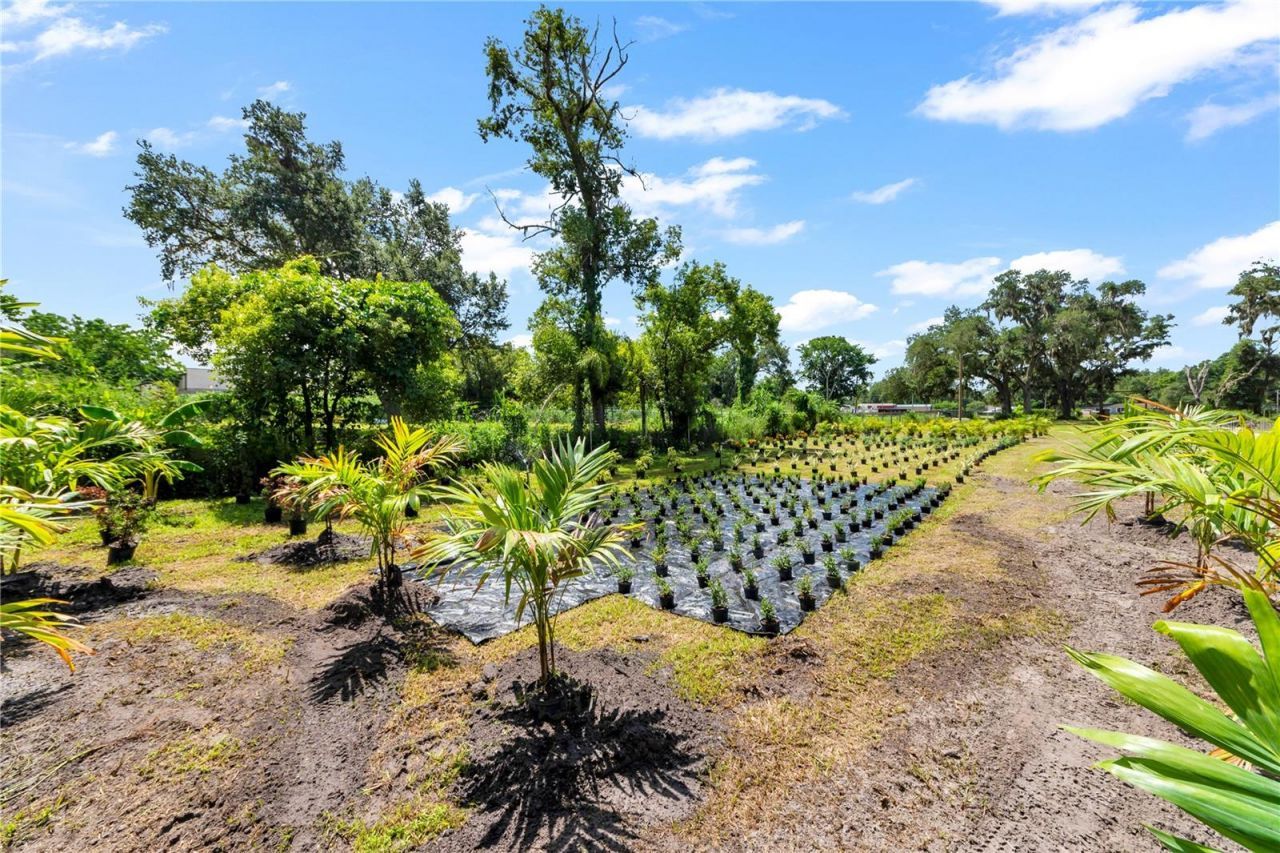 9922 Rockhill Road, Thonotosassa, FL 33592 Photo