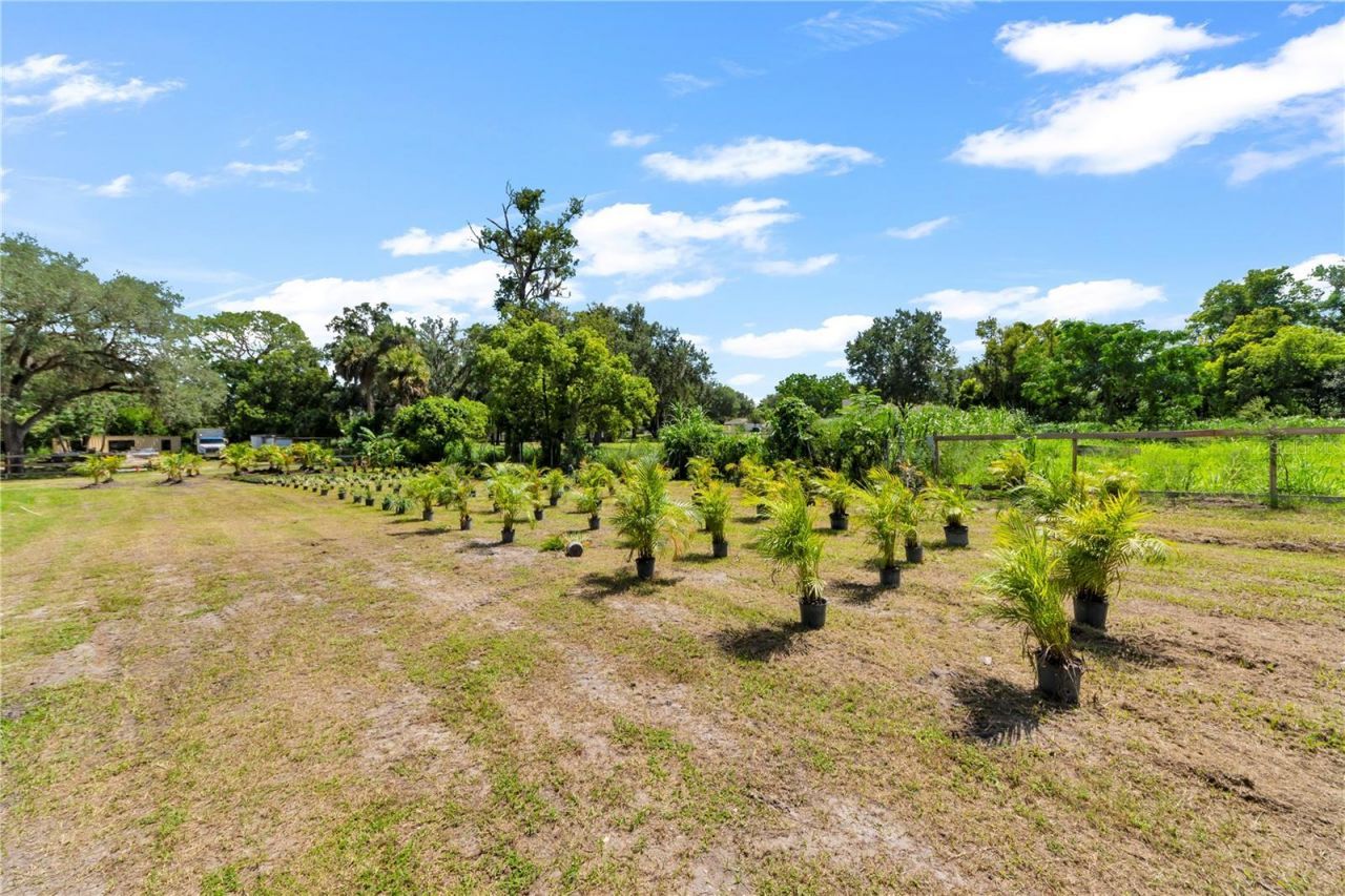 9922 Rockhill Road, Thonotosassa, FL 33592 Photo