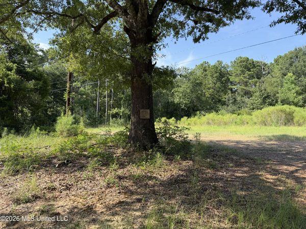 2374 Ms-22 , Canton, MS 39046