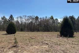 0 Marcellus Road  photo 4