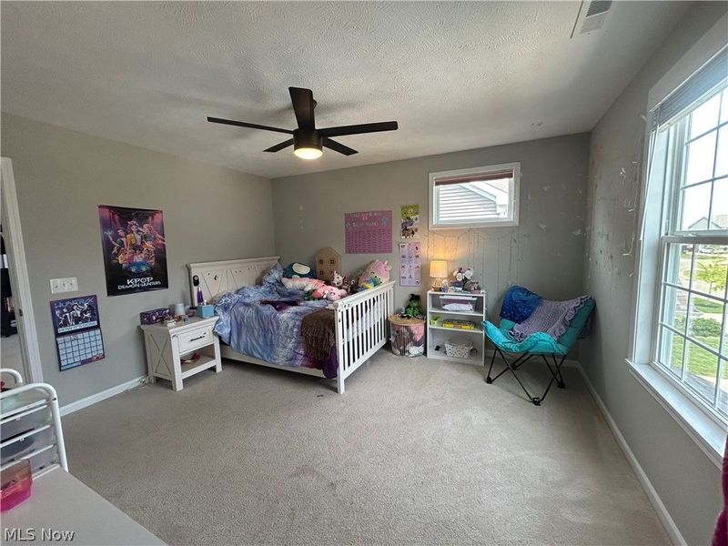 365 Denali Court, Macedonia, OH 44056 Photo 33