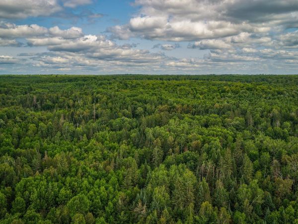 TBD 219th Avenue , Bemidji, MN 56601