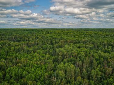 TBD 219th Avenue , Bemidji, MN 56601