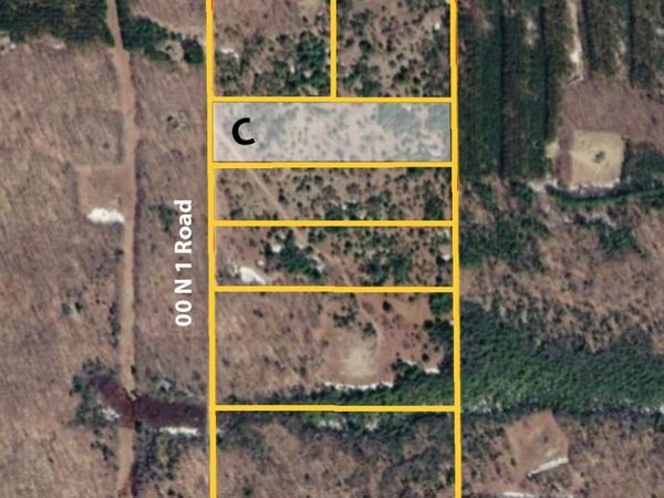 00 N 1 Road, Unit Parcel C, Buckley, MI 49620