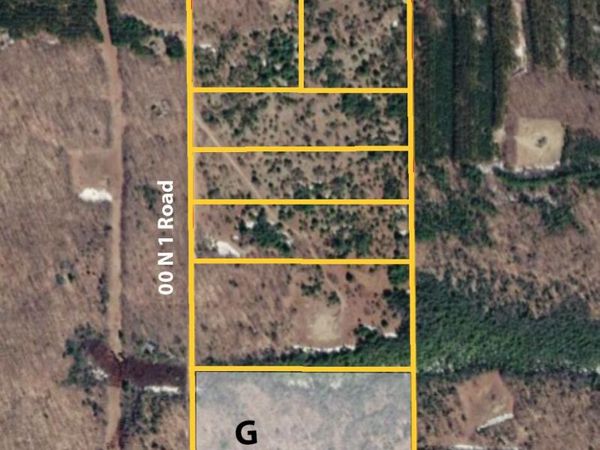 00 N 1 Road, Unit Parcel G, Buckley, MI 49620