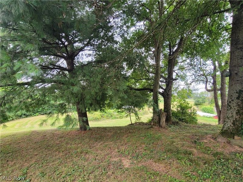7212 State Route 550 , Cutler, OH 45724 Photo 7