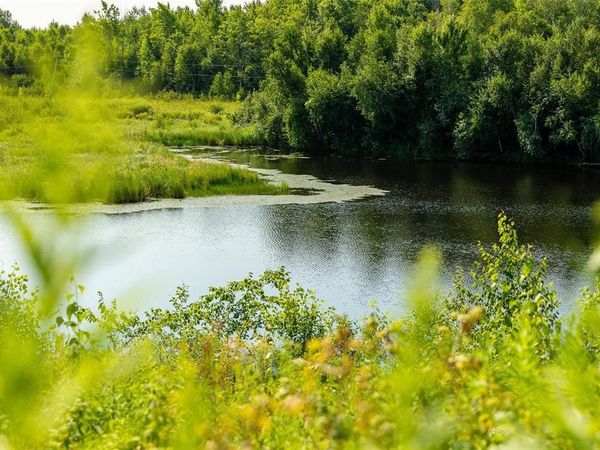Exeland, WI 54843