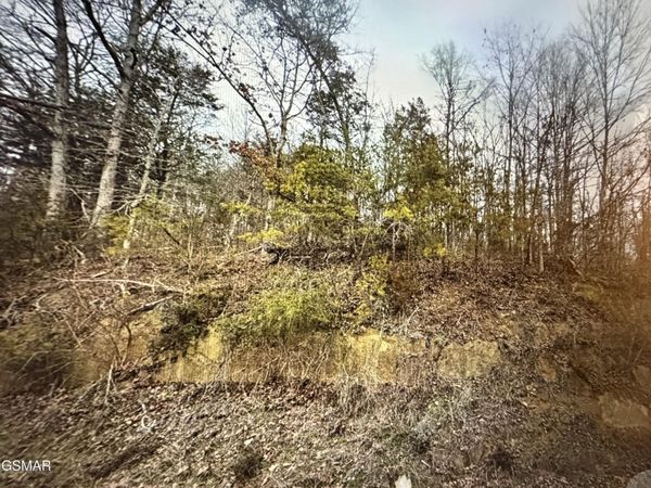1059 Kellum Creek Road , Unit None, Sevierville, TN 37876