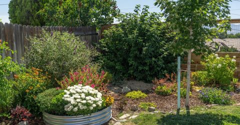 2446 Skyview Drive, Reno, NV 89523 Photo