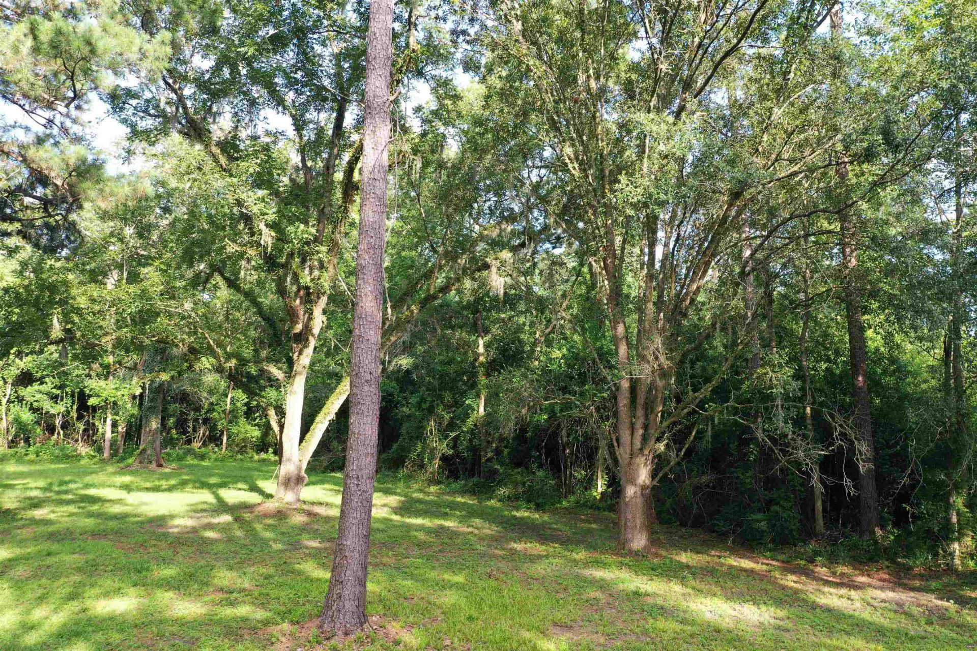 3061 Solomon Dairy Road , Quincy, FL 32352 Photo
