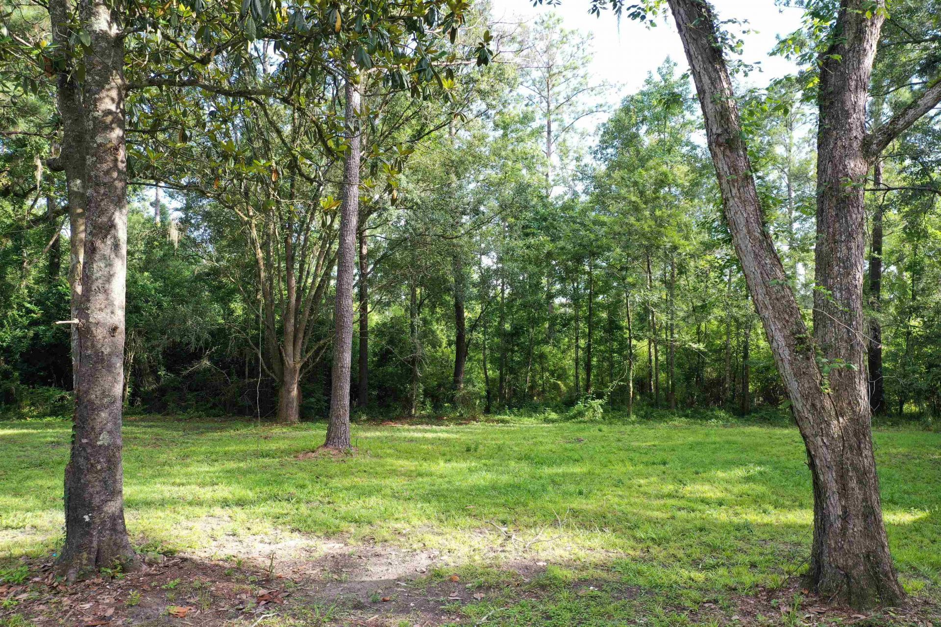 3061 Solomon Dairy Road , Quincy, FL 32352 Photo