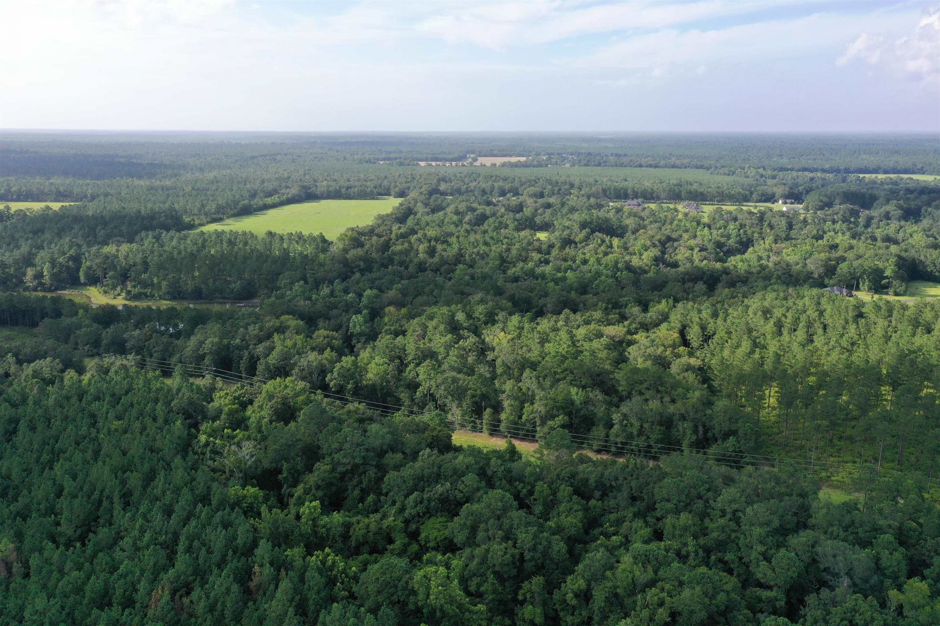 3061 Solomon Dairy Road , Quincy, FL 32352 Photo