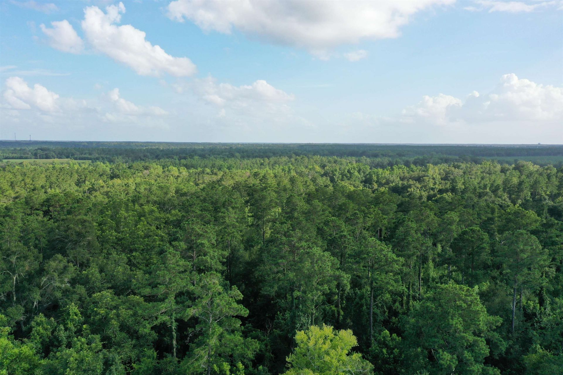 3061 Solomon Dairy Road , Quincy, FL 32352 Photo