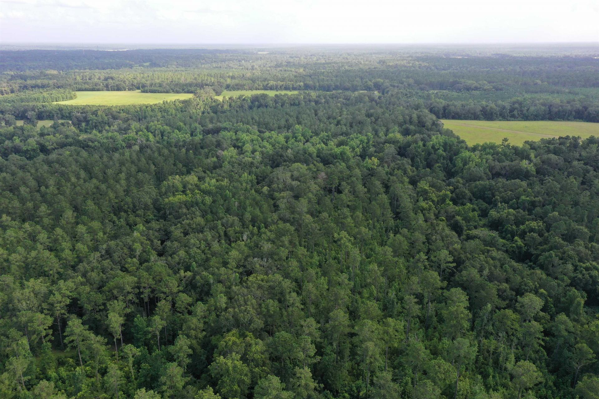 3061 Solomon Dairy Road , Quincy, FL 32352 Photo