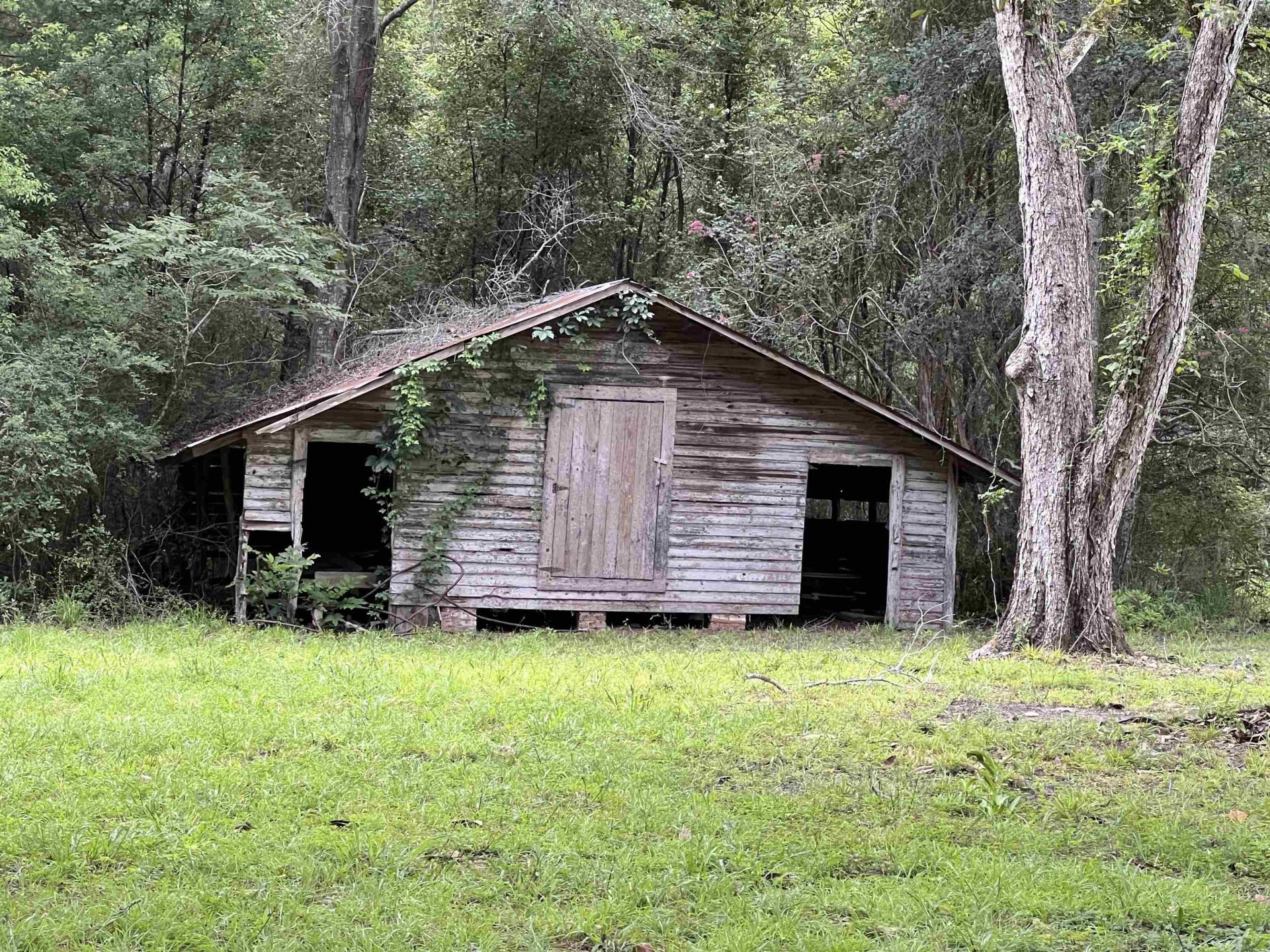 3061 Solomon Dairy Road , Quincy, FL 32352 Photo