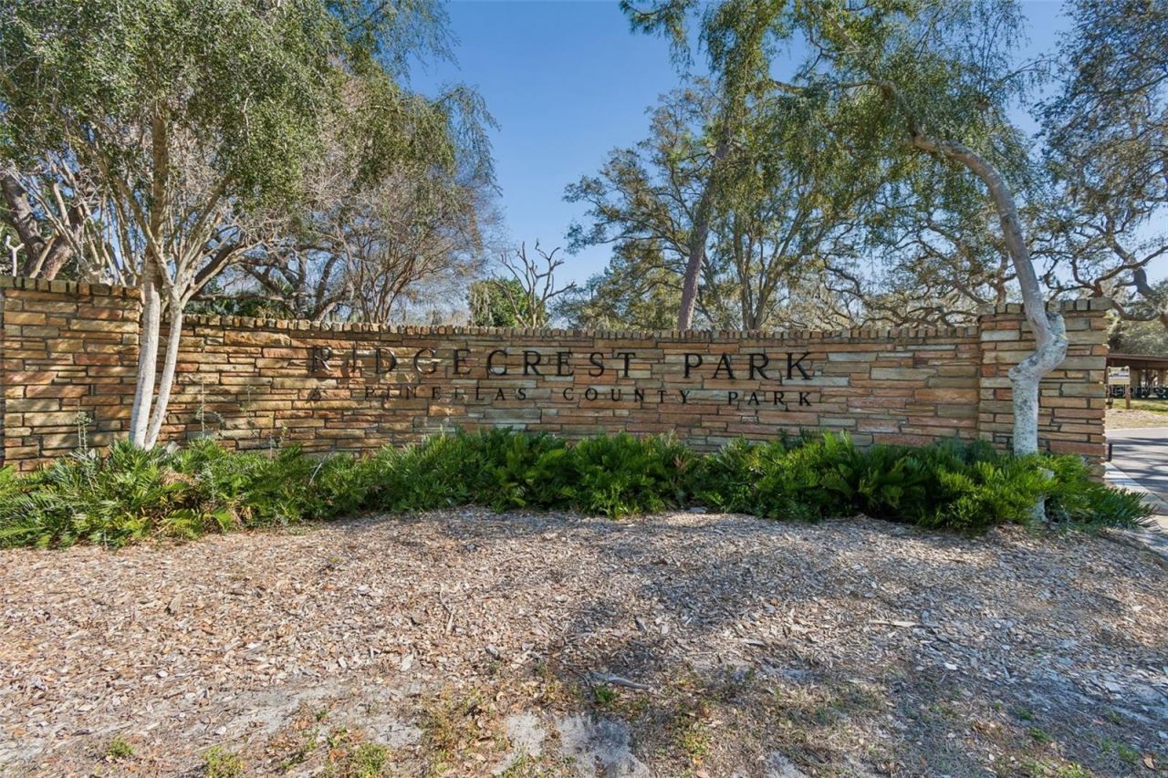 2131 Ridge Road S, Unit 99, Largo, FL 33778 Photo