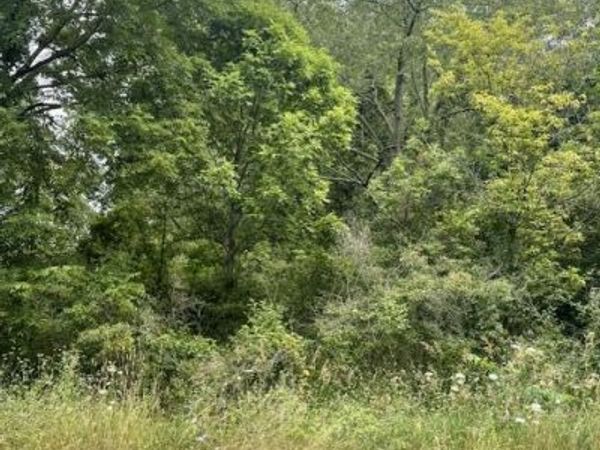 V/l Nottingham Drive, Laingsburg, MI 48848