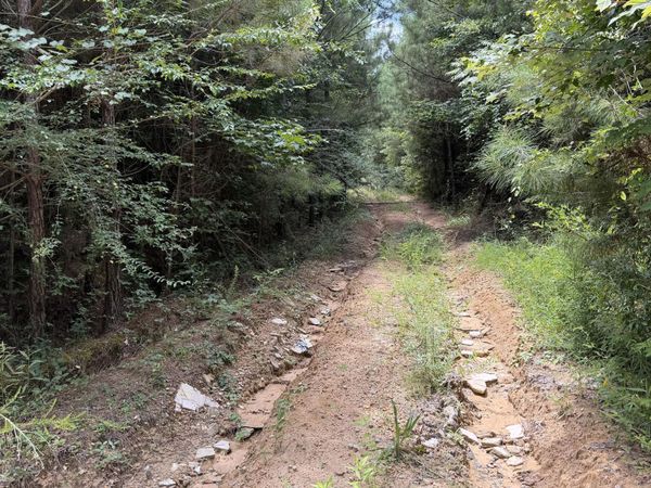 7510 Morton-marathon Road, Pulaski, MS 39152