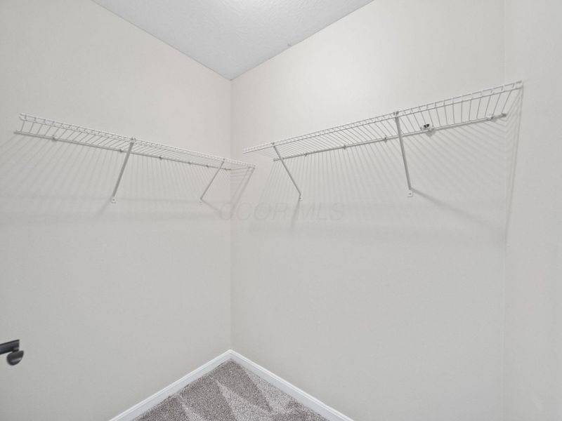 3949 Winding Path Drive, Canal Winchester, OH 43110 Photo 50
