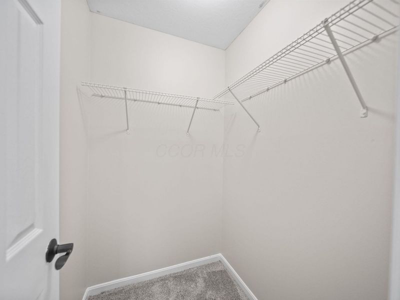 3949 Winding Path Drive, Canal Winchester, OH 43110 Photo 58