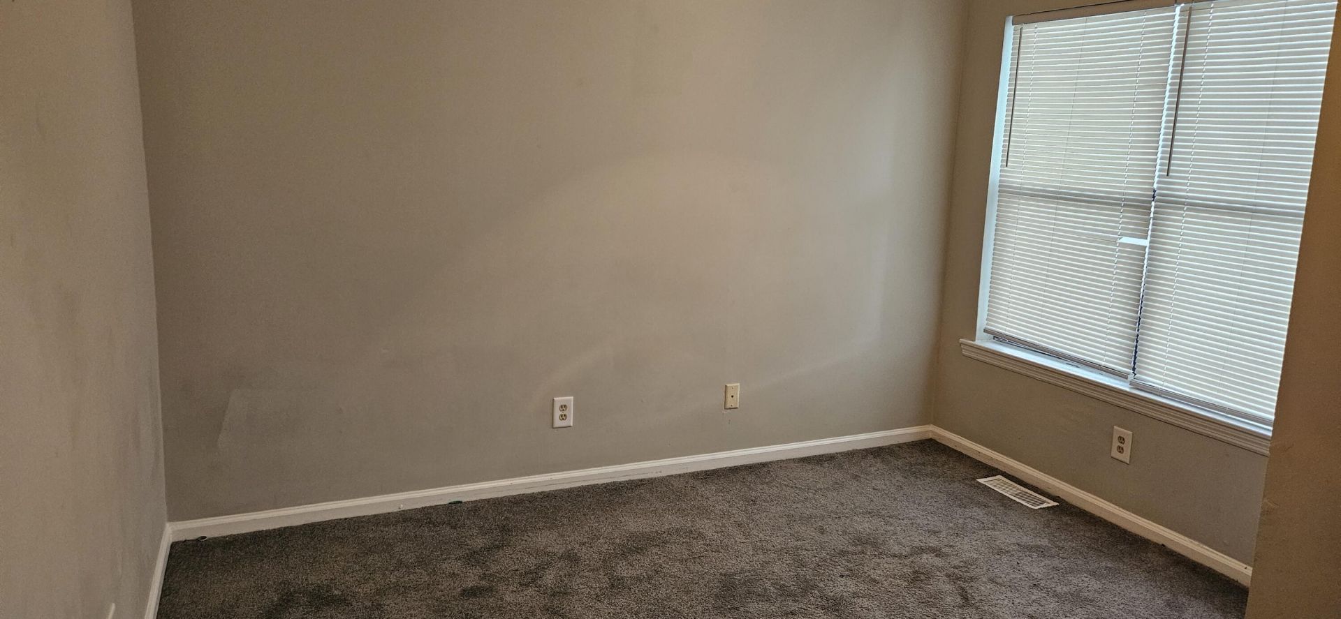 269 Pine Shadow Drive Photo 11