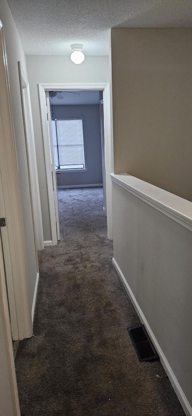 269 Pine Shadow Drive Photo 12