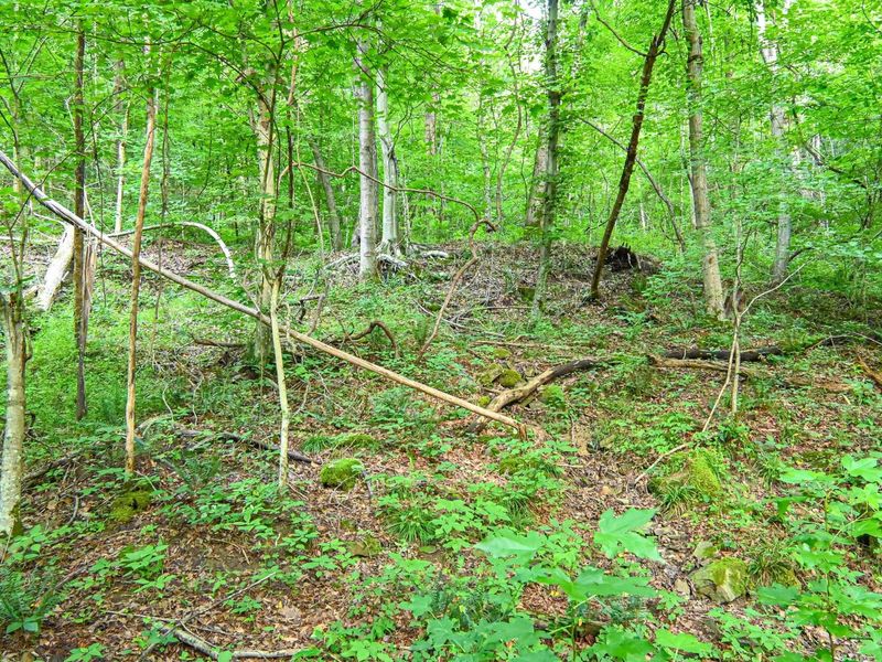 0 East Fork Pond Run Rd , Stout, OH 45684 Photo 10