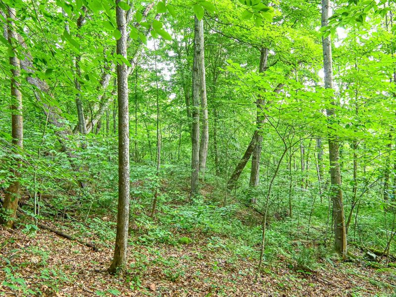 0 East Fork Pond Run Rd , Stout, OH 45684 Photo 11
